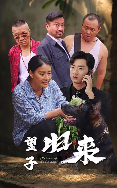 望子歸來(全集)