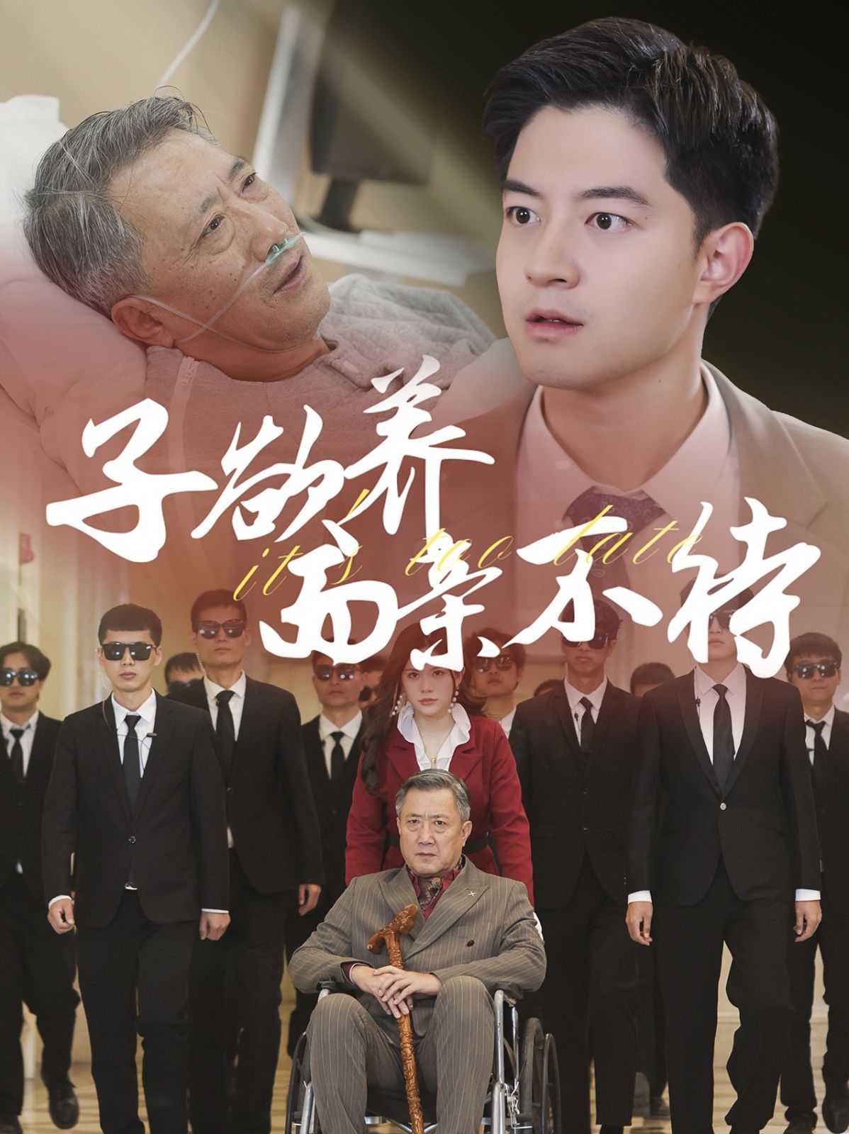 子欲養(yǎng)而親不待(全集)