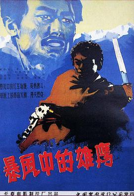 暴風中的雄鷹(全集)