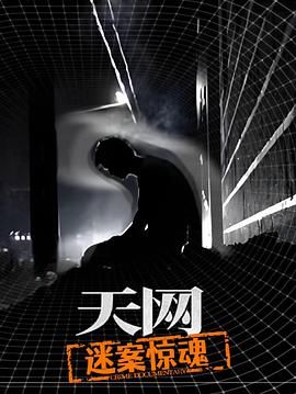 天網：迷案驚魂(全集)