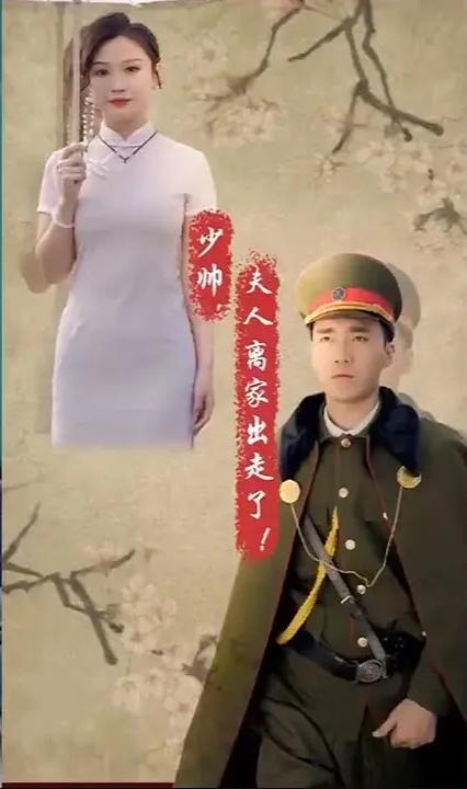 少帥，夫人離家出走了(全集)